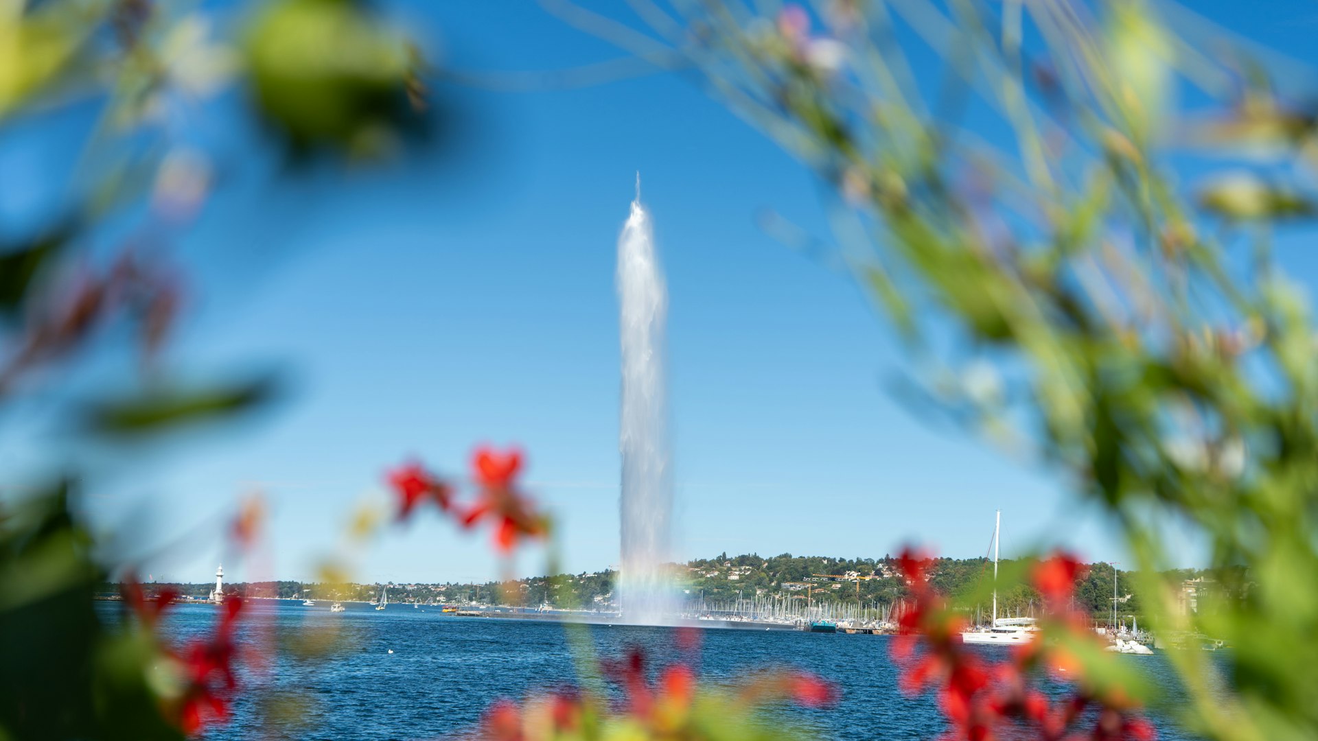 Chauffeur privé à Genève